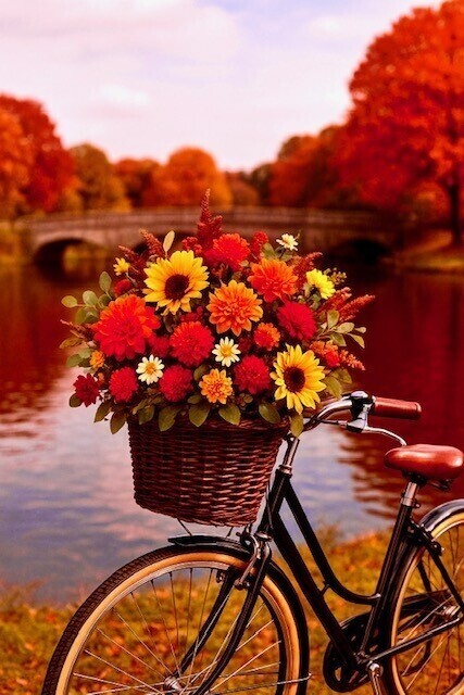 えっ？うそでしょ？‼️‼️‼️‼️