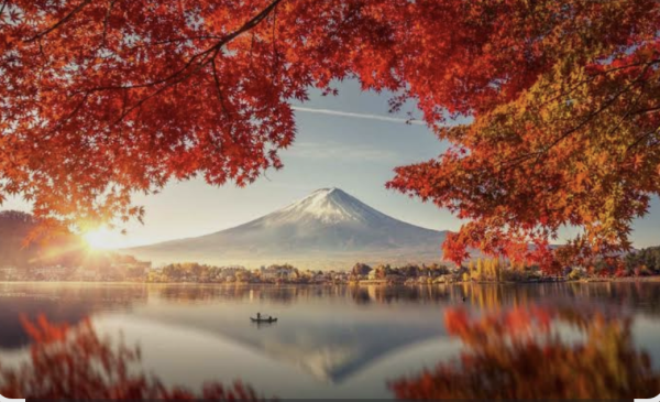 こんにちわ☀️