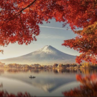 こんにちわ☀️