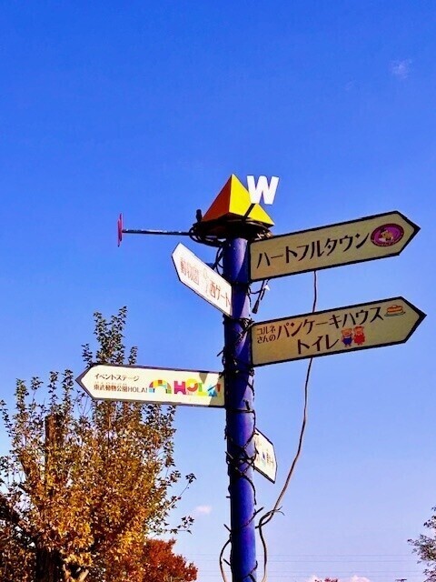 １９日お早めご予約ありがとう🩷✨