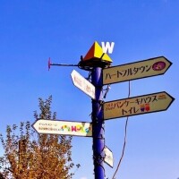 １９日お早めご予約ありがとう🩷✨