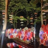 みなみ（新人）