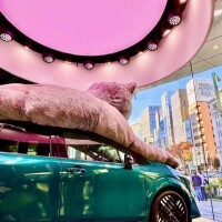 おはよう向かってます🚃🚃🚃🚃🚃🚃🚃