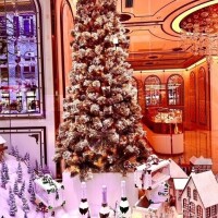 めぐみ（新人）