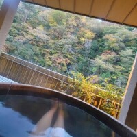 みなみ（新人）