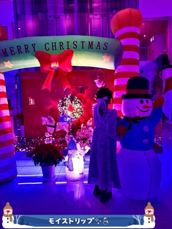 こんばんは❄️⛄️💜✨🌲🌲