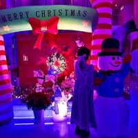 こんばんは❄️⛄️💜✨🌲🌲