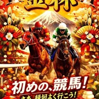 群馬県で馬を育ててました‼️