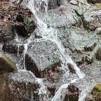 なごみにゃー✨🏝️🏝️🏝️