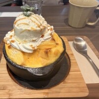 お礼とお知らせ