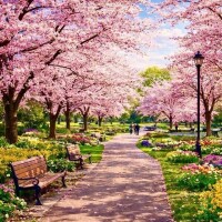 春とワイシャツと彼氏❤️✨彼女❤️どっちも好き❤️✨