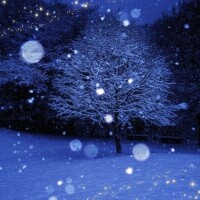 おはようございます。