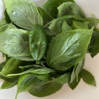 さおり（新人）