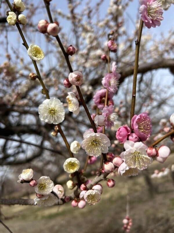 出勤中ーーーー