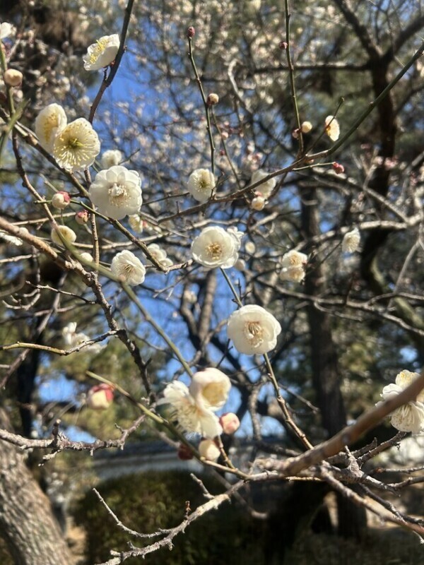 💌お礼日記💌