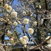 💌お礼日記💌