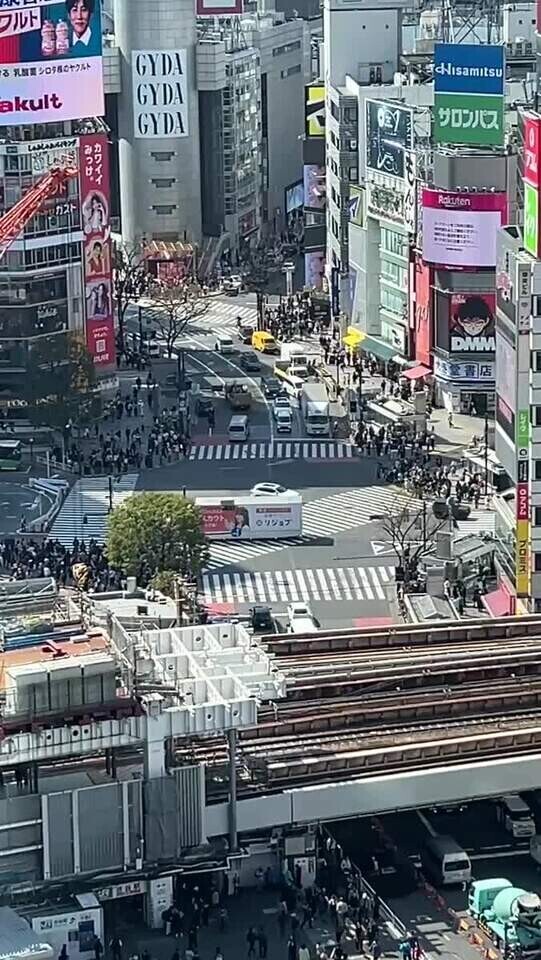 なんくるないさ〜☘️✨❤️