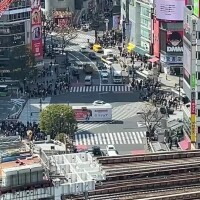 なんくるないさ〜☘️✨❤️