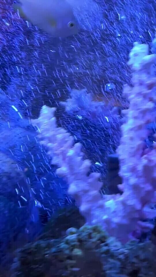 本指名Ｏ様よろしくね❤️