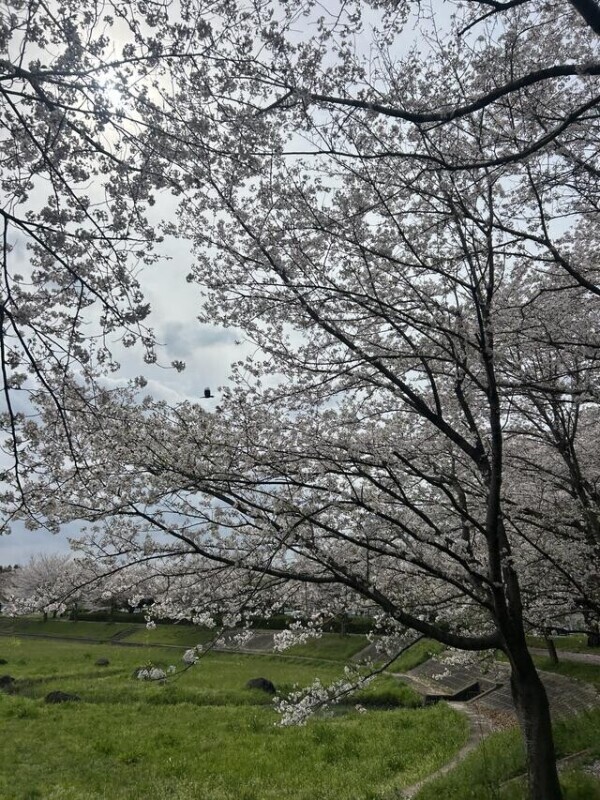 💌お礼日記💌