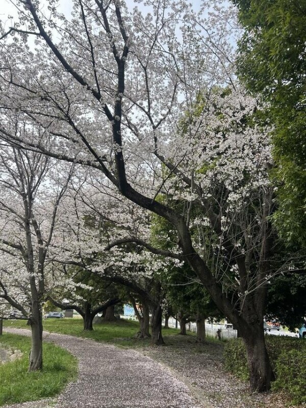 💌お礼日記💌
