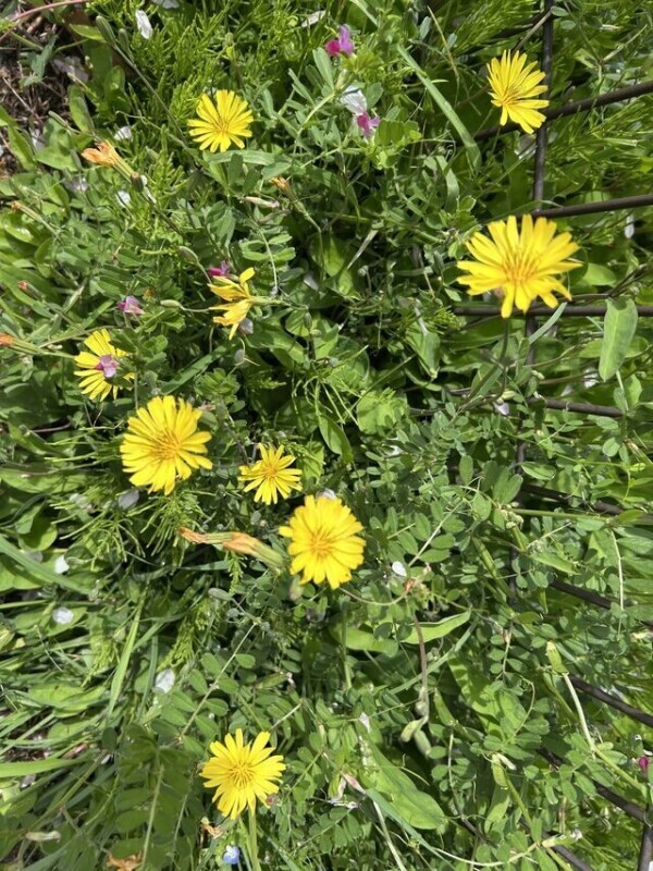 💌お礼日記💌