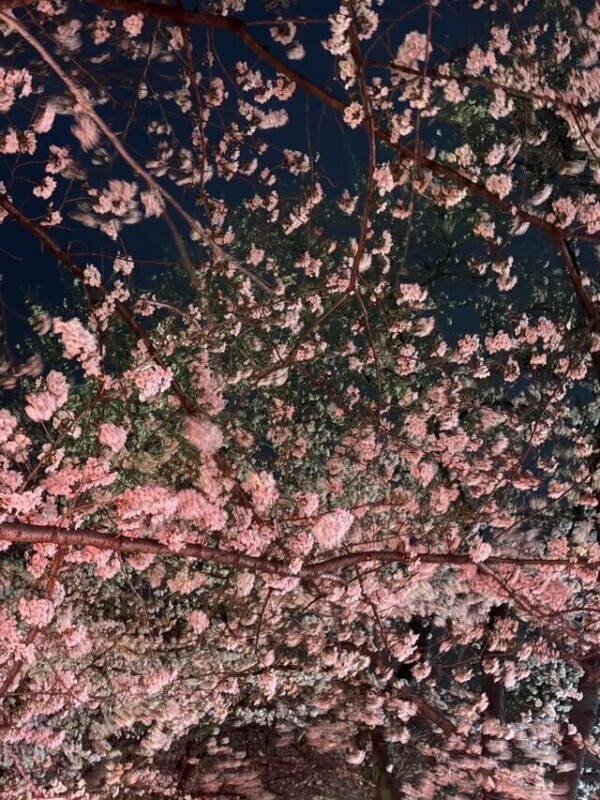 💌お礼日記💌