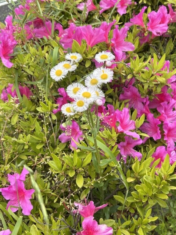 あれ？？？？？？？？