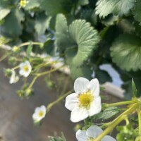 💌お礼日記💌