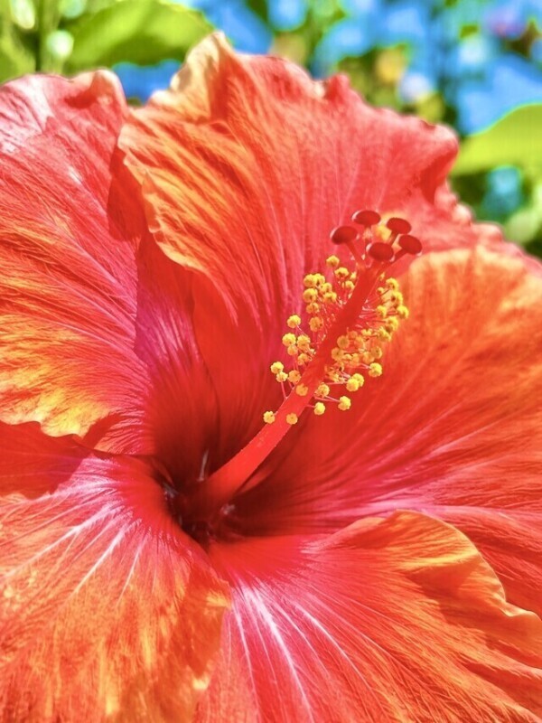 シフト提出しました😃🌺