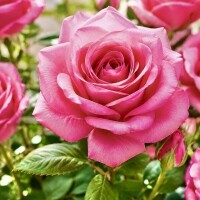今日もたくさんのお問い合わせありがとう💖