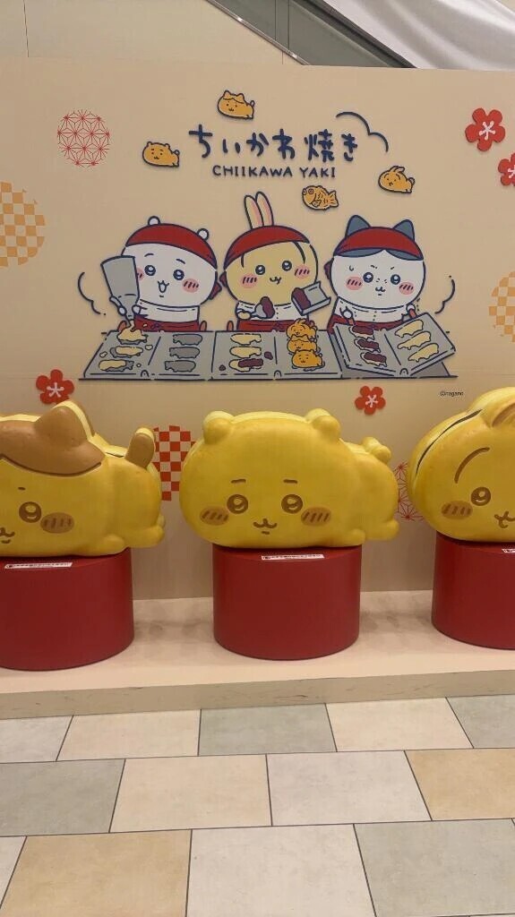 限定🐻