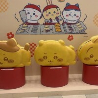 限定🐻