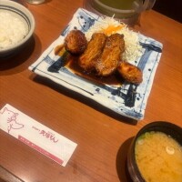 とんとん🐖