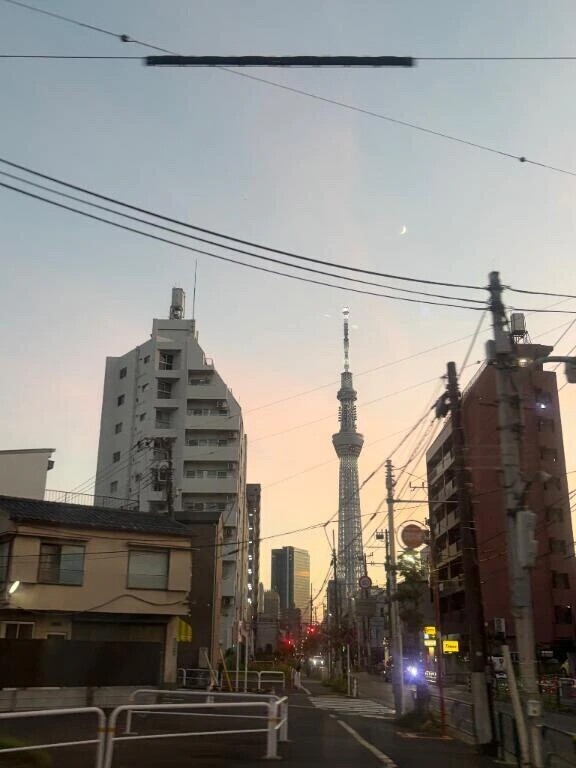 やっと、、、