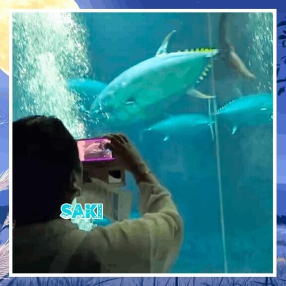 葛西臨海公園水族館