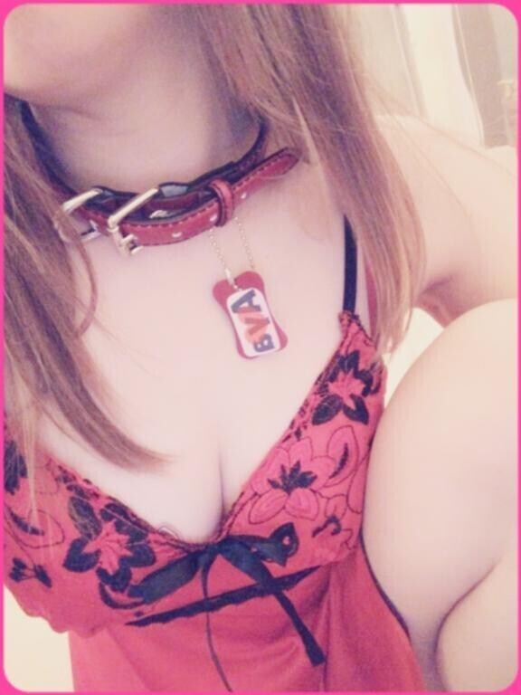 鼻栓とは、、、あやの飼い主様へ。