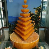 行かないな。