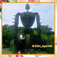 忙しく遊び回っております。