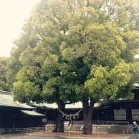 鬼出勤。