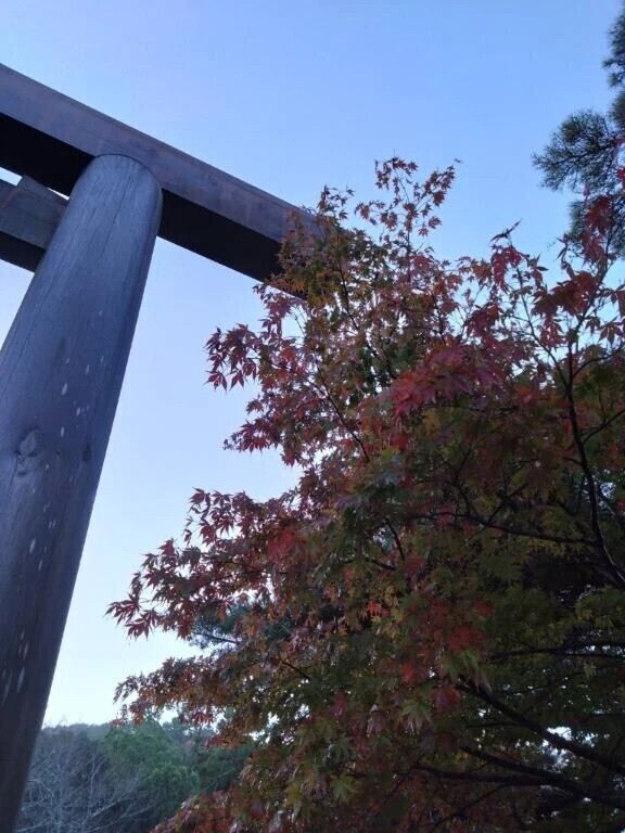 ごめんなさい。