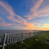 お疲れ様です( ¨̮⋆)