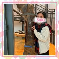 無事到着しております（えらい