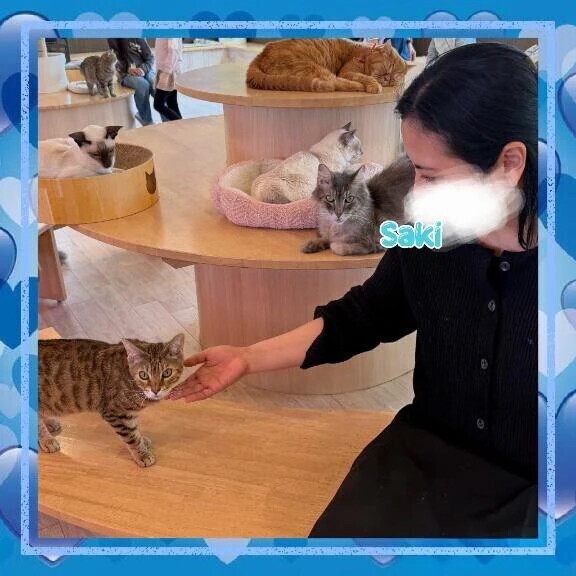 犬派？ねこ派？