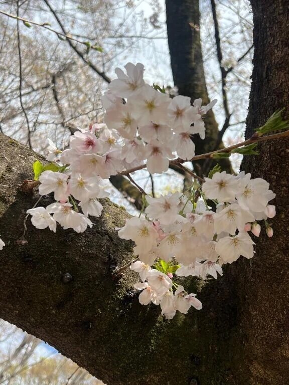 おはようございます