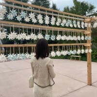 過ぎそうです、、