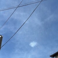 やりたいと思った時にすぐ行動💨