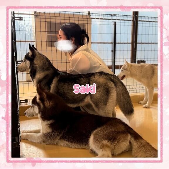 もう終わり……