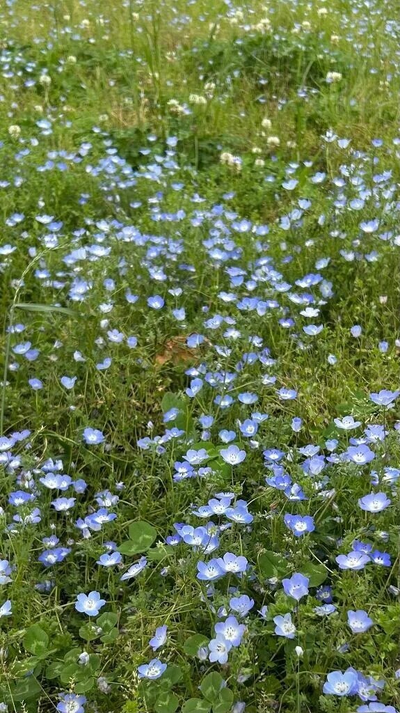 おはようございます☀️