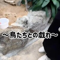 こころ